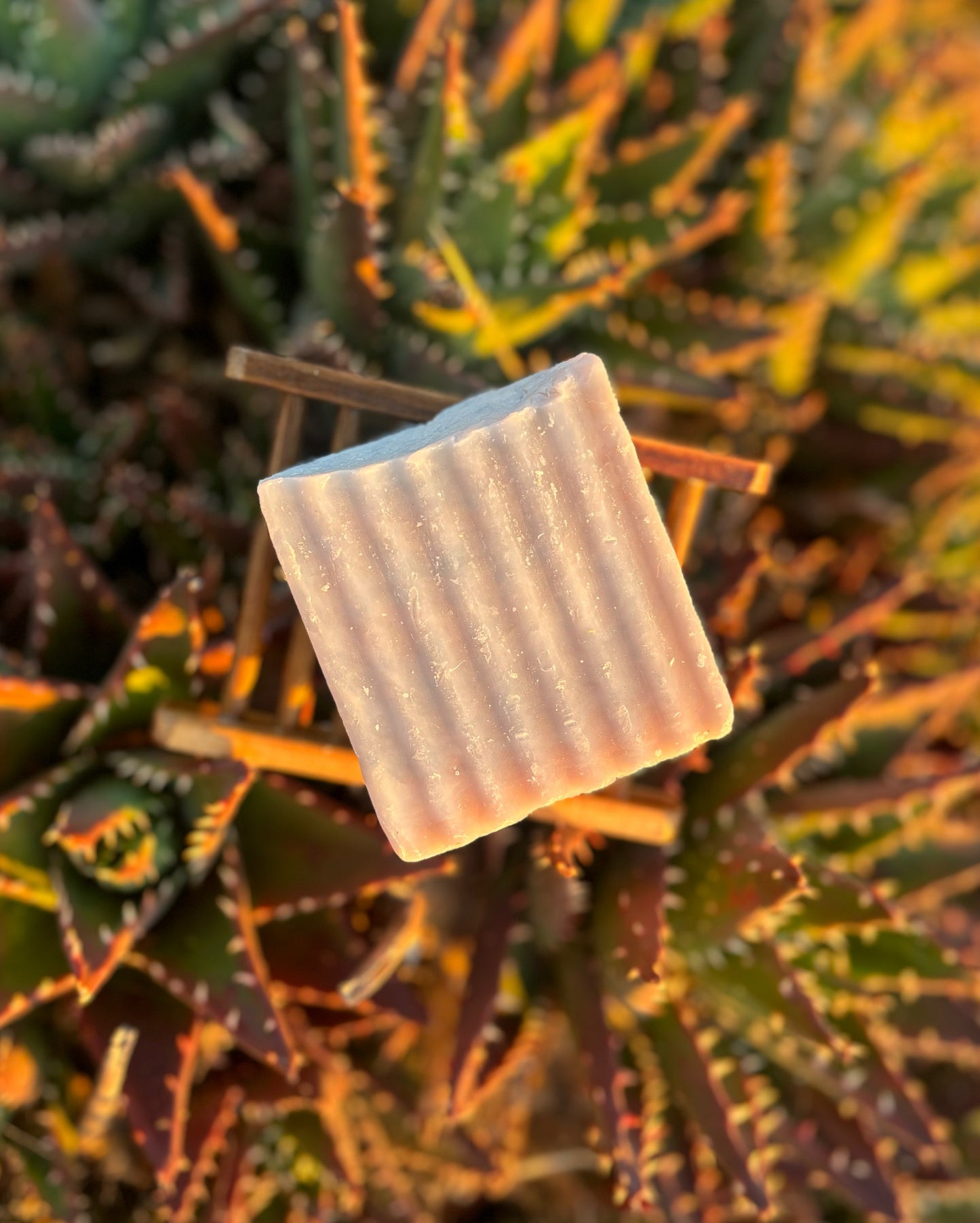 Unscented Aloe Vera Tallow Soap