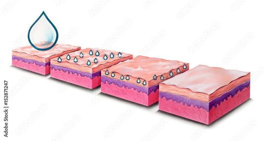 The Second Mouth: Understanding How Our Skin Absorbs Nutrients and Toxins