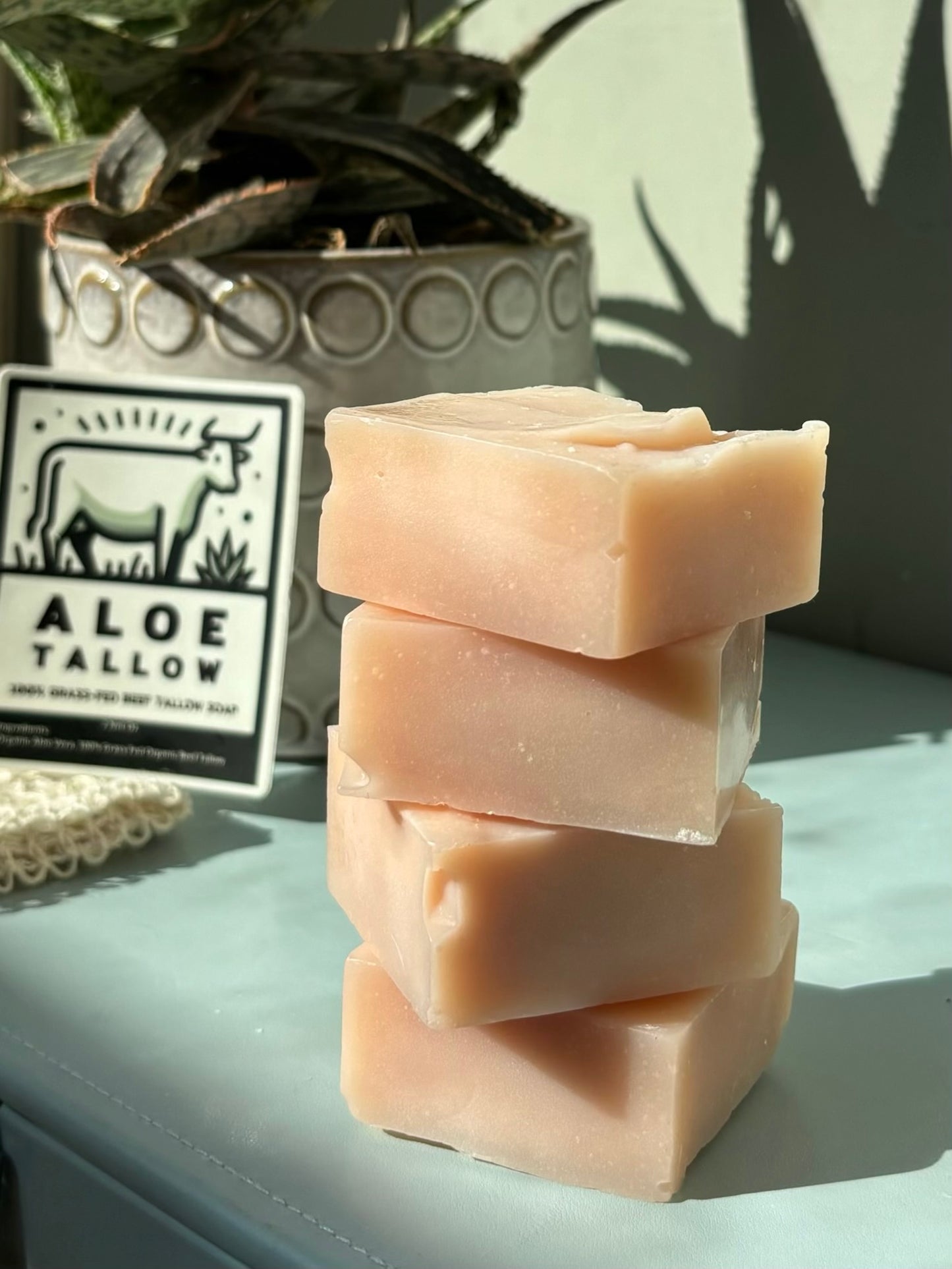 Unscented Aloe Vera Tallow Soap