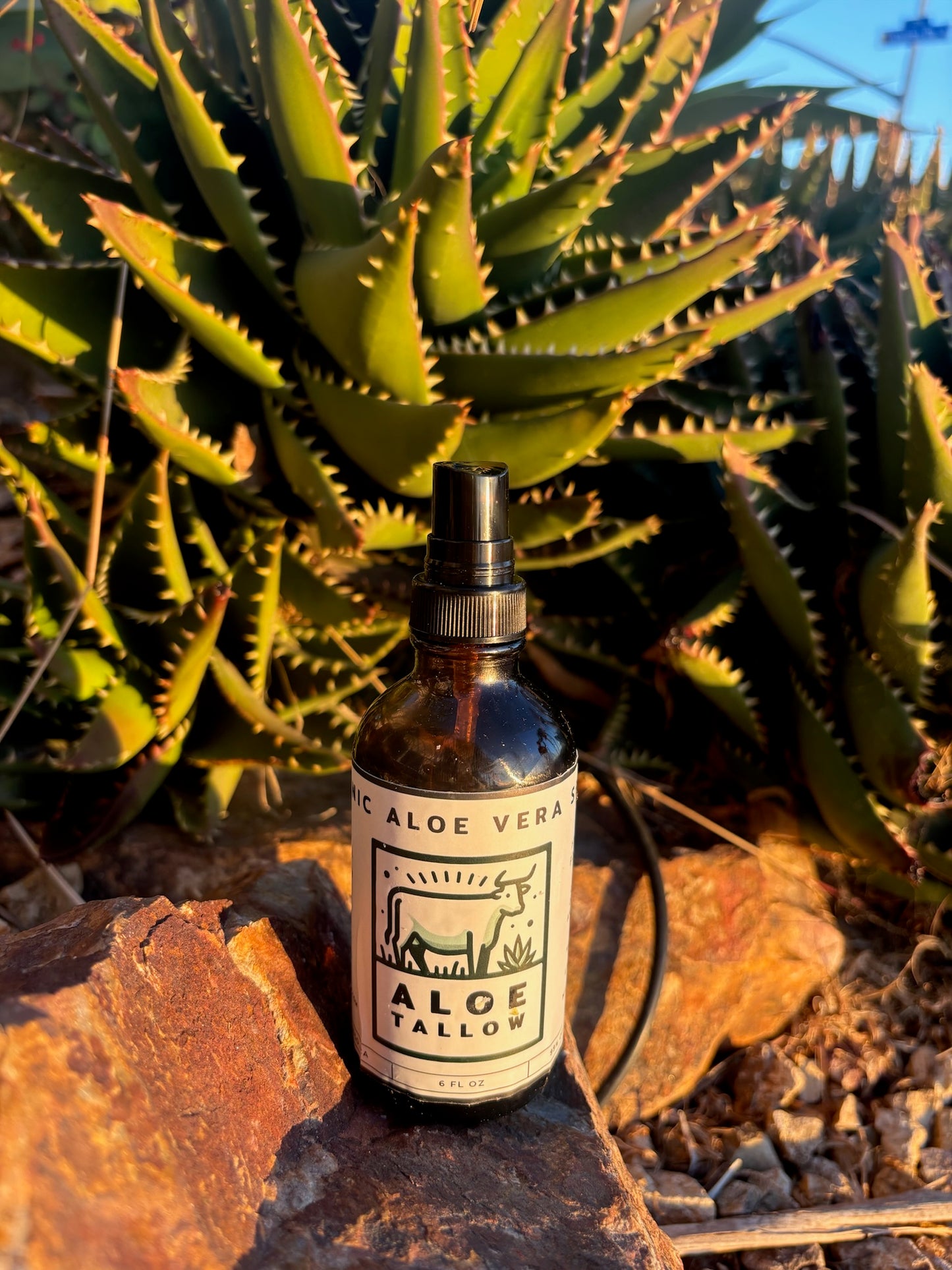 Aloe Vera Spray 4 oz