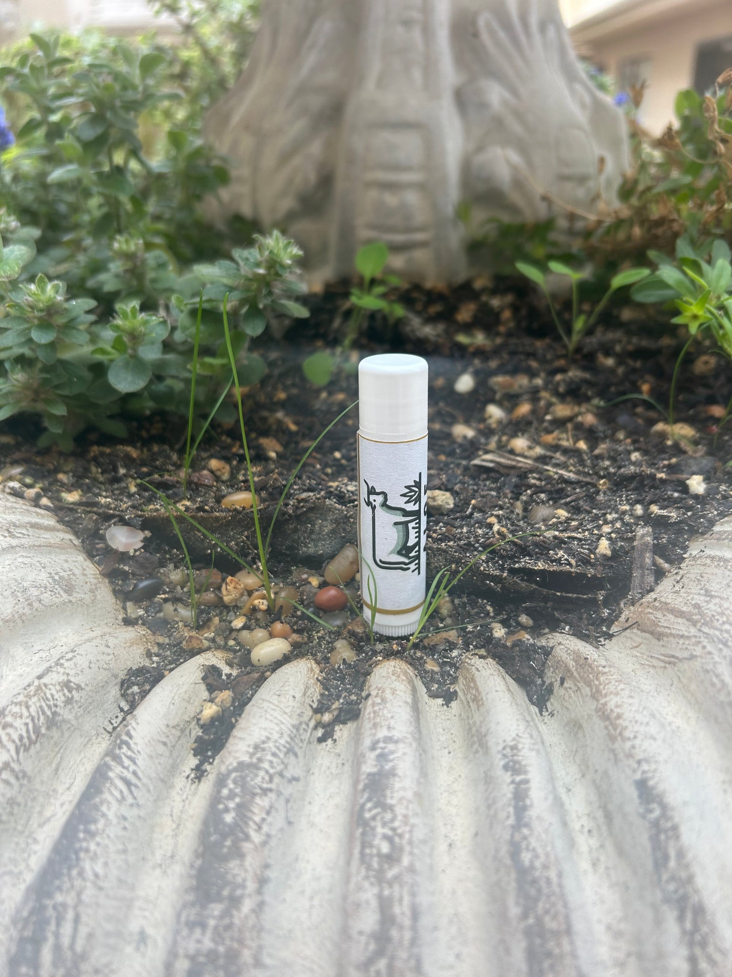 Tallow Lip Balm