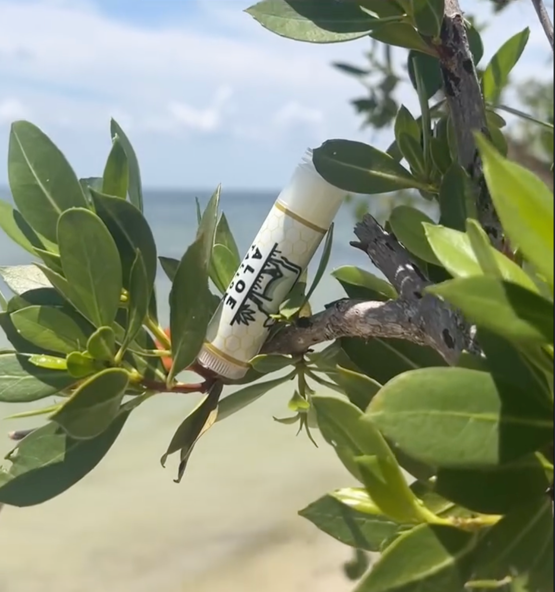Tallow Lip Balm